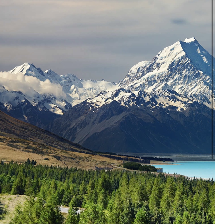 my dream destination new zealand essay