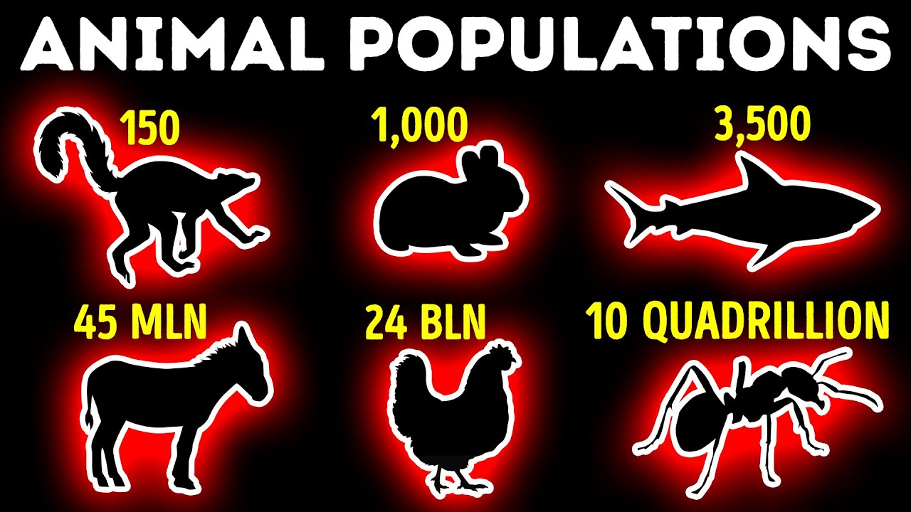 What Animal Has The Highest Population